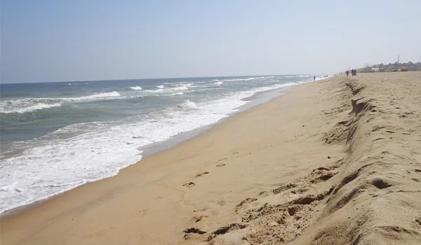 Featured Image of Edward Elliot's Beach