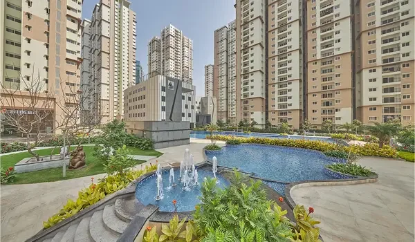 Featured Image of Prestige High Fields