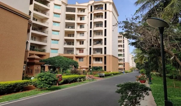 Why NRIs invest in Prestige Velachery Projects Featured Image of Why NRIs invest in Prestige Velachery Projects